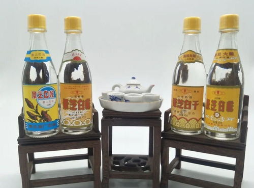 為何半斤白酒尚清醒，兩瓶啤酒卻已醉？——酒精飲料與醉酒的秘密